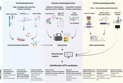 Viral-Host Dependency Factors as Therapeutic Targets to Overcome Antiviral Drug-Resistance: A Focus on Innate Immune Modulation